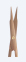 Делікатні ножиці "Titanit" Reynolds (Рейнольдс) SC8440 - фото №2